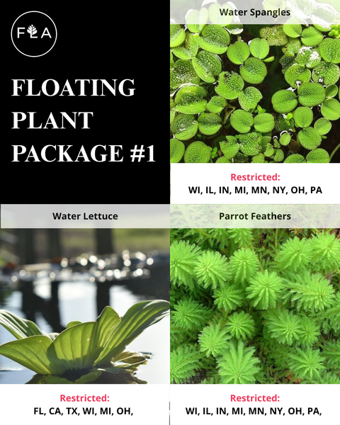 BUY 2 GET 1 FREE 3 Floating Plants-Pack of 3 Species
