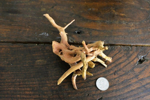 NANO Spiderwood! (4~6 inches) - For Aquarium/Terrarium/Reptile/Plant Succulent Cacti Substrate Habitat Decor-SQ7609479