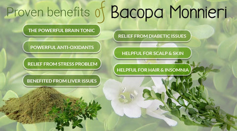 BUY 2 GET 1 FREE Bacopa monnieri (Moneywort)