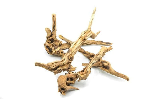 Pacific Wood SM (6~9 inches)-SQ0581472