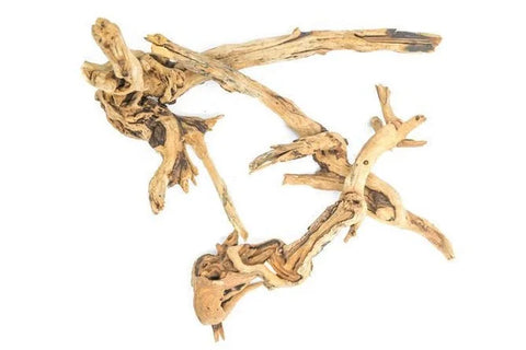 Pacific Wood SM (6~9 inches)-SQ0581472