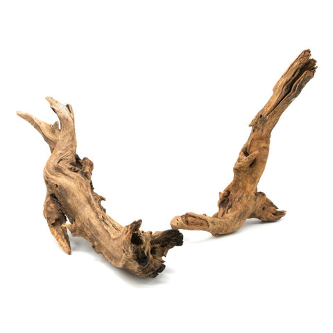 Pacific Wood SM (6~9 inches)-SQ0581472