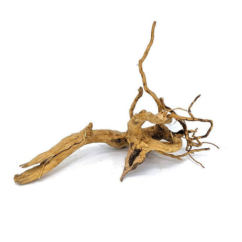 Spiderwood (8~12 inches)-SQ2726615